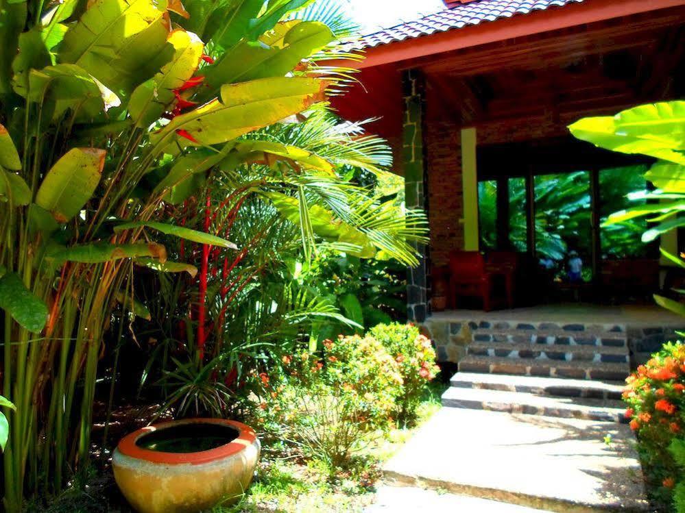 考索河滨小屋 Khao Sok National Park 外观 照片